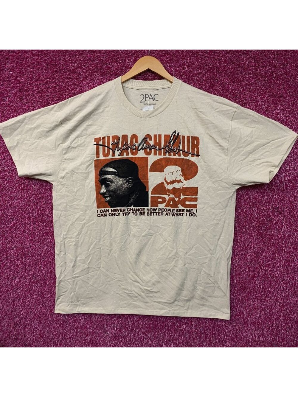 Tupac Never Change Heavyweight Graphic T-Shirt 2XL